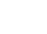 White WST logo png small